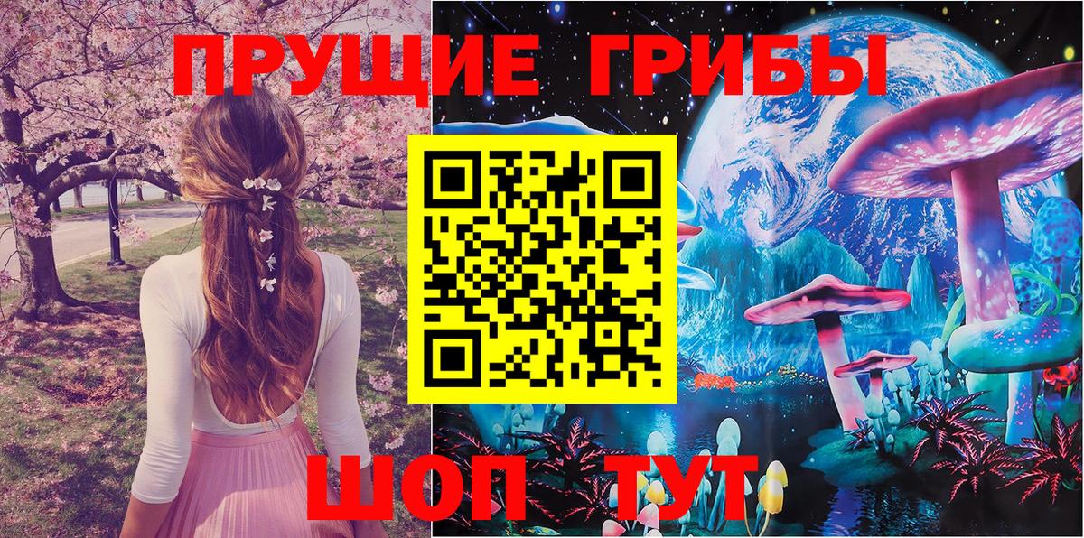 Псилоцибиновые грибы прущие грибы Протвино