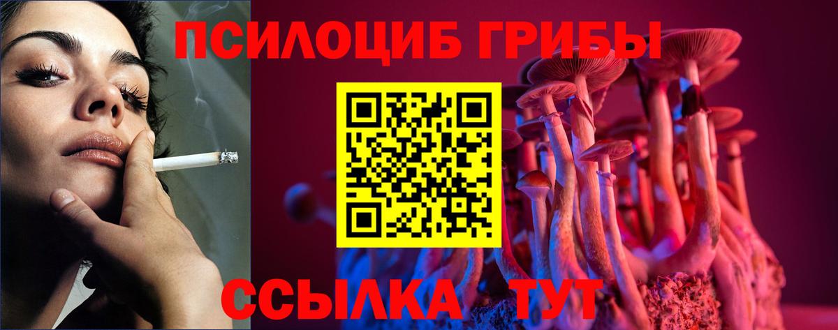 Протвино  Галлюциногенные грибы GOLDEN TEACHER  Вход с VPN 